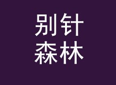 别针森林 Pin Forest 这个烫在手环上的名字，被铁粉别在了包上，聊给双人搭档