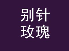 别针玫瑰 Pin Rose 挂在摊位最上排，收藏党一眼就停住，聊给双人搭档