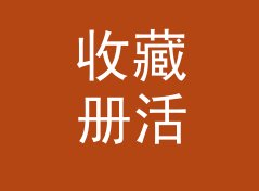 收藏册活页 Album Refill 和旁边那个候选名，差在哪个字母上，写给女摊主